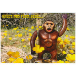 High Quality Postcards - Little Desert Animals