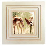 High quality wildlife print in a custom frame.